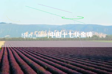 桂林中国十七块金牌