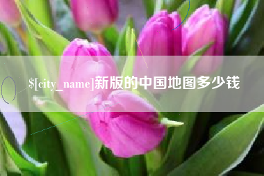 桂林新版的中国地图多少钱