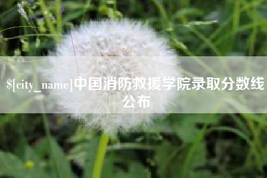 桂林中国消防救援学院录取分数线公布