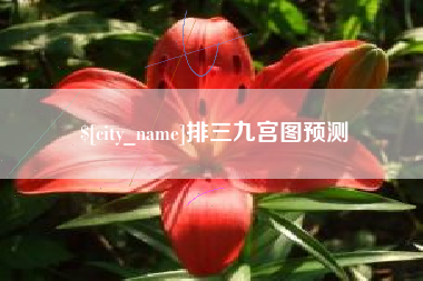 桂林排三九宫图预测