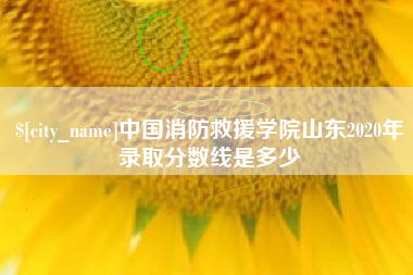 桂林中国消防救援学院山东2020年录取分数线是多少