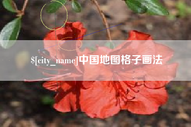 桂林中国地图格子画法