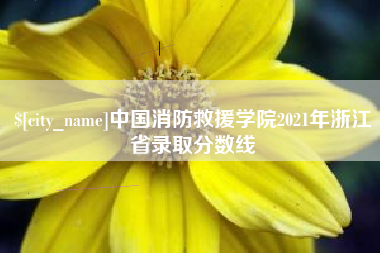 桂林中国消防救援学院2021年浙江省录取分数线