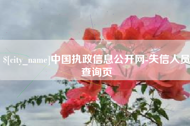 桂林中国执政信息公开网-失信人员查询页