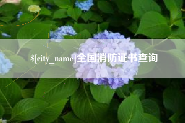 桂林全国消防证书查询