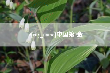 桂林中国第9金