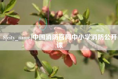 桂林中国消防官网中小学消防公开课