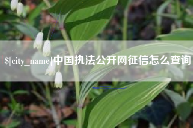 桂林中国执法公开网征信怎么查询