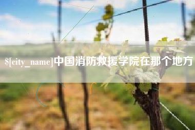 桂林中国消防救援学院在那个地方