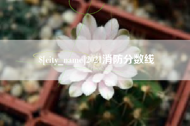 桂林2021消防分数线