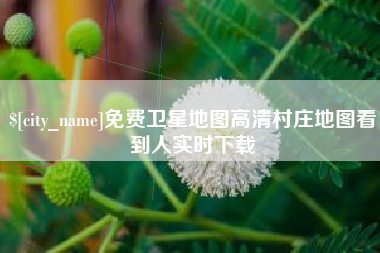 桂林免费卫星地图高清村庄地图看到人实时下载