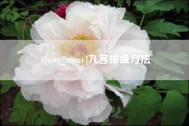 桂林九宫排盘方法