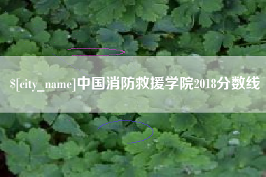 桂林中国消防救援学院2018分数线