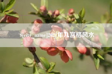 桂林2021年九宫格风水