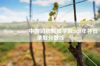 桂林中国消防救援学院2020年各省录取分数线