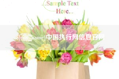 桂林中国执行网信息官网