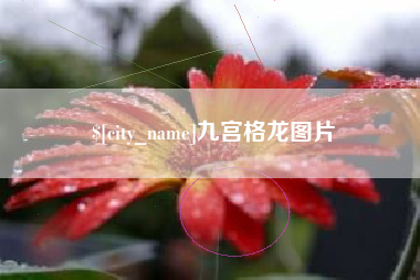 桂林九宫格龙图片