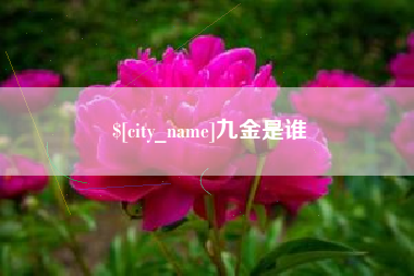桂林九金是谁