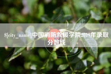 桂林中国消防救援学院2019年录取分数线