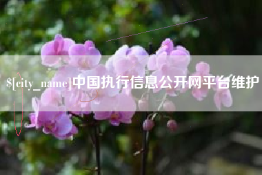 桂林中国执行信息公开网平台维护