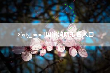 桂林国家消防报名入口