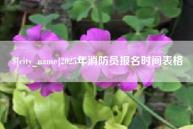 桂林2025年消防员报名时间表格