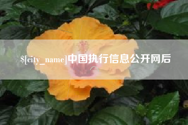 桂林中国执行信息公开网后