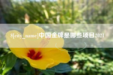 桂林中国金牌是哪些项目2021