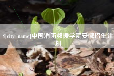桂林中国消防救援学院安徽招生计划