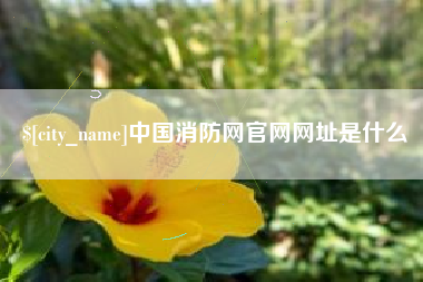 桂林中国消防网官网网址是什么