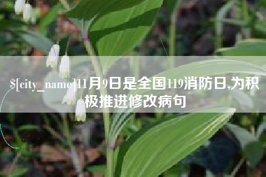 桂林11月9日是全国119消防日,为积极推进修改病句