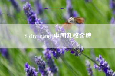 桂林中国九枚金牌