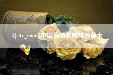 桂林中国消防学院排名前十