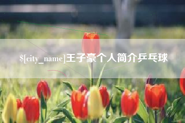桂林王子豪个人简介乒乓球