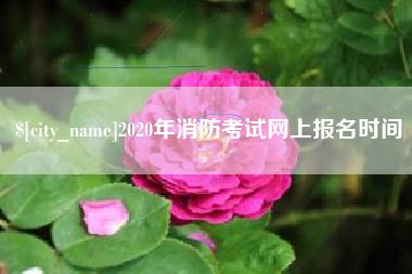 桂林2020年消防考试网上报名时间