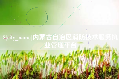 桂林内蒙古自治区消防技术服务执业管理平台