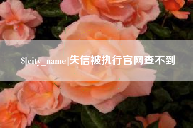 桂林失信被执行官网查不到