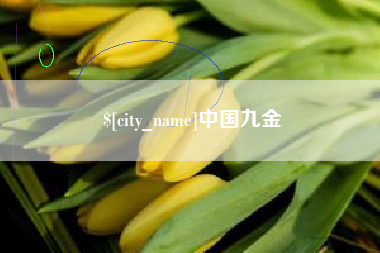 桂林中国九金