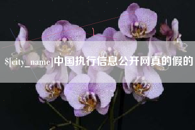 桂林中国执行信息公开网真的假的
