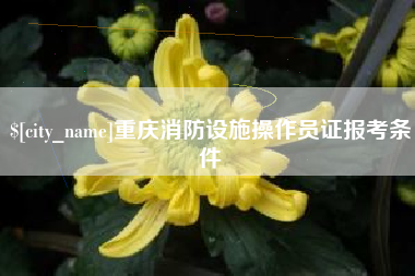 桂林重庆消防设施操作员证报考条件