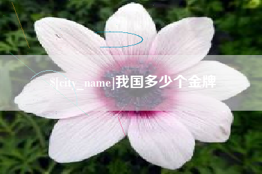 桂林我国多少个金牌