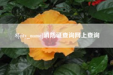 桂林消防证查询网上查询