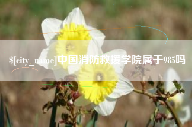 桂林中国消防救援学院属于985吗