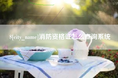 桂林消防资格证怎么查询系统