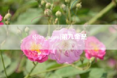 桂林第九金是