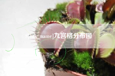 桂林九宫格分布图