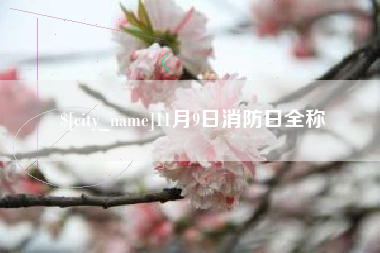 桂林11月9日消防日全称