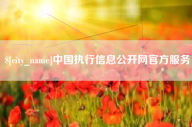 桂林中国执行信息公开网官方服务
