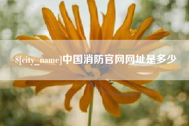 桂林中国消防官网网址是多少