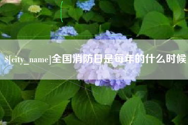 桂林全国消防日是每年的什么时候
